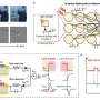 Computational event-driven vision sensors that convert motion into spiking signals